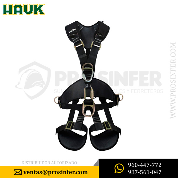 arnes-rescatista-hauk-r6a8h