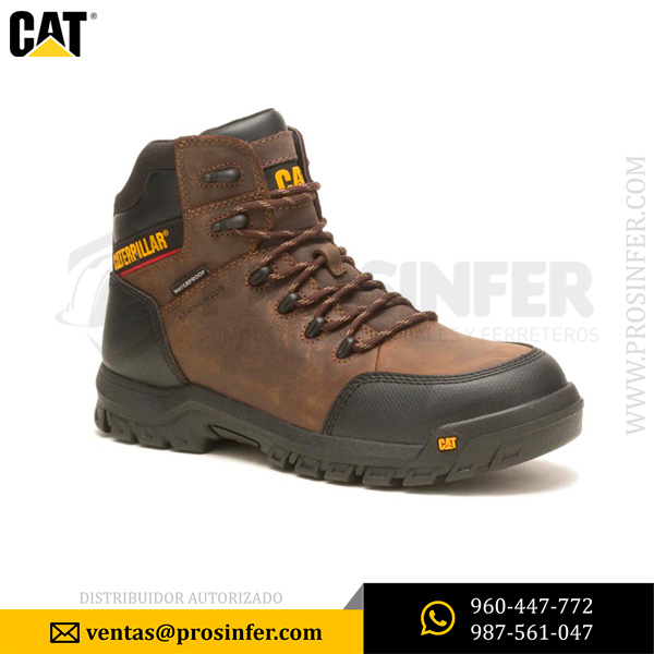 Botin Cat Resorption CT WP P90977